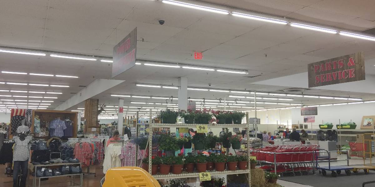 Farm & Home Supply Linmore LED